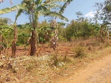 Jual Tanah Perumahan 9,3 Ha Di Cikancung Kota Bandung
