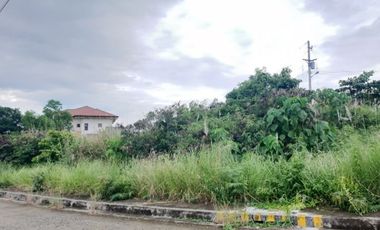 169 Sqm Overlooking Lot for Sale in Vista Grande Talisay Cebu City