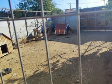 CASA DE 1 PISO CONCRETO, MUY AMPLIA, T VIEJOS