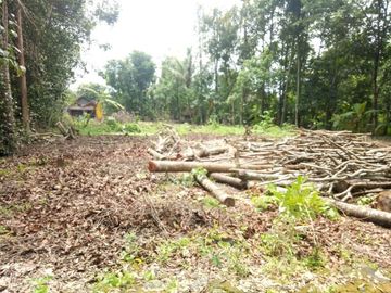 Rumah Baru dekat Prambanan Klaten Legalitas Lengkap 10 menit ke Jalan Jogja-Solo