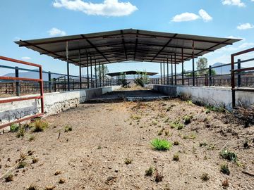 TERRENO GRANJA EN VENTA EN SAN RAFAEL CORREGIDORA A 10 MIN DE QRO.