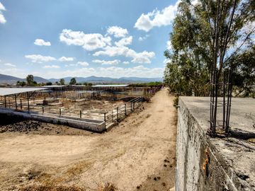 TERRENO GRANJA EN VENTA EN SAN RAFAEL CORREGIDORA A 10 MIN DE QRO.