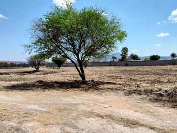 TERRENO GRANJA EN VENTA EN SAN RAFAEL CORREGIDORA A 10 MIN DE QRO.