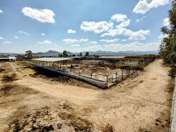 TERRENO GRANJA EN VENTA EN SAN RAFAEL CORREGIDORA A 10 MIN DE QRO.