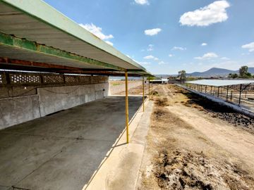TERRENO GRANJA EN VENTA EN SAN RAFAEL CORREGIDORA A 10 MIN DE QRO.