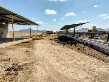 TERRENO GRANJA EN VENTA EN SAN RAFAEL CORREGIDORA A 10 MIN DE QRO.