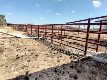 TERRENO GRANJA EN VENTA EN SAN RAFAEL CORREGIDORA A 10 MIN DE QRO.