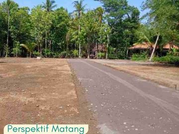 Tanah Ngaliyan, dekat UIN Semarang