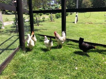 Local Comercial en venta en Puerto Varas