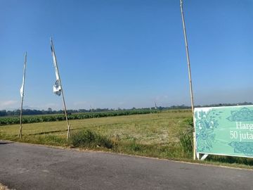 Tanah dijual di Jenggawah, Free Pondasi Keliling