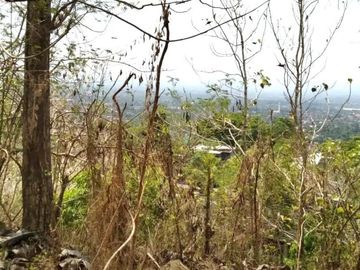 Tanah Murah di Prambanan Timur Candi Ratu Boko