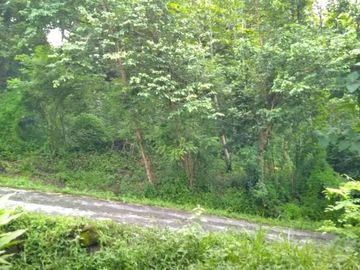 Tanah Murah di Prambanan Timur Candi Ratu Boko