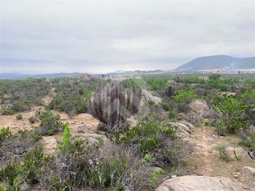 Sitio en venta en el Panul Coquimbo