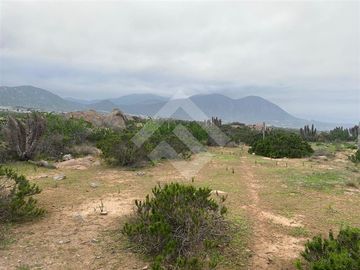 Sitio en venta en el Panul Coquimbo