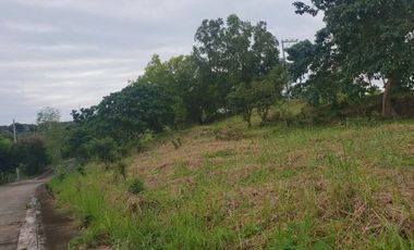 157 Sqm Residential Lot for Sale in Vista Grande Talisay Cebu City