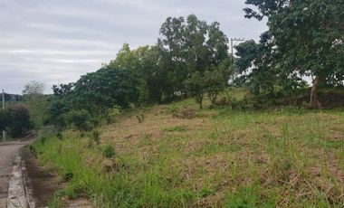 157 Sqm Residential Lot for Sale in Vista Grande Talisay Cebu City