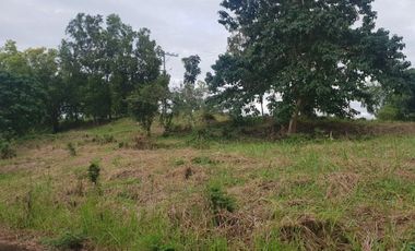 157 Sqm Residential Lot for Sale in Vista Grande Talisay Cebu City