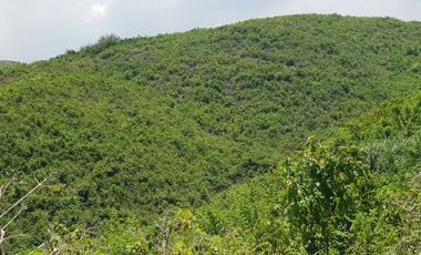 174 sqm Affordable Lot for Sale in Liloan, Cebu with View