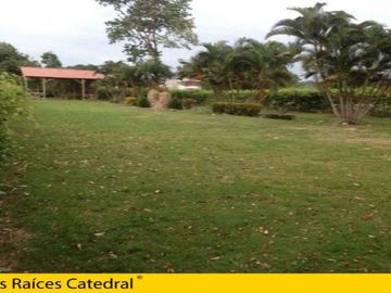 Quinta Hacienda de venta en Santa Rosa – código:13031