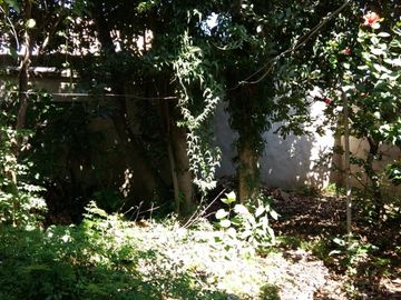 CASA EN LOTE PROPIO DE 3 AMBIENTES. ¡¡¡ IDEAL PARA CONSTRUCTORES