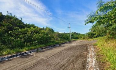 GREENVILLE HEIGHTS LOT 176 SQM for Sale in Consolacion Cebu