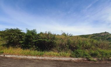 GREENVILLE HEIGHTS LOT 176 SQM for Sale in Consolacion Cebu