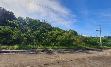 GREENVILLE HEIGHTS LOT 176 SQM for Sale in Consolacion Cebu