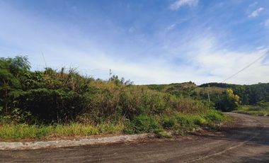 GREENVILLE HEIGHTS LOT 176 SQM for Sale in Consolacion Cebu