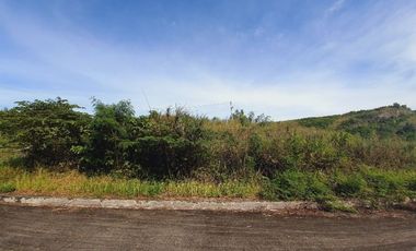 GREENVILLE HEIGHTS LOT 176 SQM for Sale in Consolacion Cebu