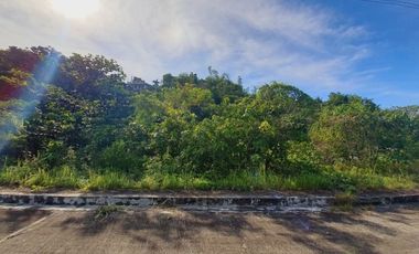 GREENVILLE HEIGHTS LOT 176 SQM for Sale in Consolacion Cebu