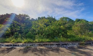 GREENVILLE HEIGHTS LOT 176 SQM for Sale in Consolacion Cebu