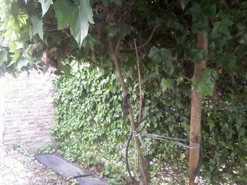 CASA CON LOCAL COMERCIAL IDEAL PARA 2 FAMILIAS en Glew Este