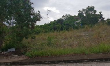 163 Sqm Residential Lot for Sale in Vista Grande Talisay Cebu City