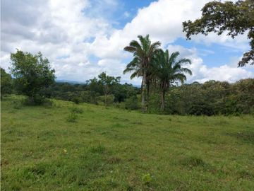 Sea Confiable Vende Finca en Cerro Cama.