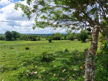 Sea Confiable Vende Finca en Cerro Cama.