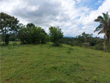 Sea Confiable Vende Finca en Cerro Cama.