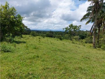 Sea Confiable Vende Finca en Cerro Cama.