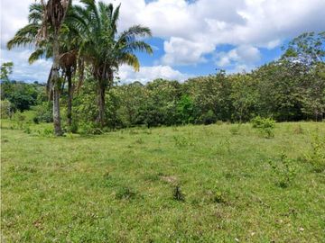 Sea Confiable Vende Finca en Cerro Cama.