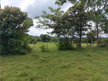 Sea Confiable Vende Finca en Cerro Cama.