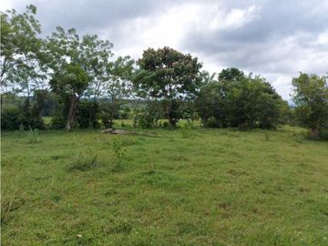 Sea Confiable Vende Finca en Cerro Cama.