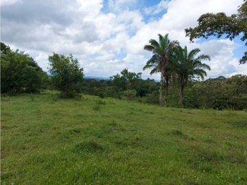 Sea Confiable Vende Finca en Cerro Cama.