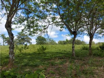 Sea Confiable Vende Finca en Cerro Cama.