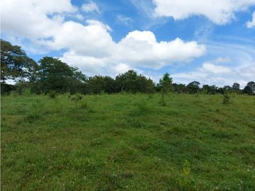 Sea Confiable Vende Finca en Cerro Cama.