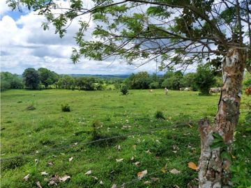 Sea Confiable Vende Finca en Cerro Cama.