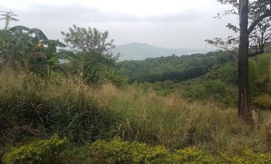 FOR SALE: Vacant Lot in Morong, Rizal