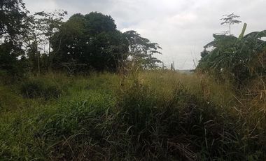 FOR SALE: Vacant Lot in Morong, Rizal