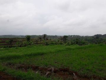 Jual Cepat Tanah Persawahan 20 Ha Di Ciracap Kota Sukabumi
