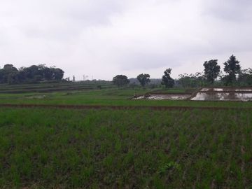 Jual Cepat Tanah Persawahan 20 Ha Di Ciracap Kota Sukabumi