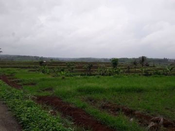 Jual Cepat Tanah Persawahan 20 Ha Di Ciracap Kota Sukabumi