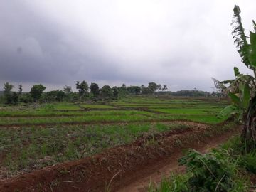 Jual Cepat Tanah Persawahan 20 Ha Di Ciracap Kota Sukabumi